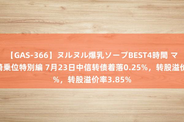 【GAS-366】ヌルヌル爆乳ソープBEST4時間 マットSEX騎乗位特別編 7月23日中信转债着落0.25%，转股溢价率3.85%