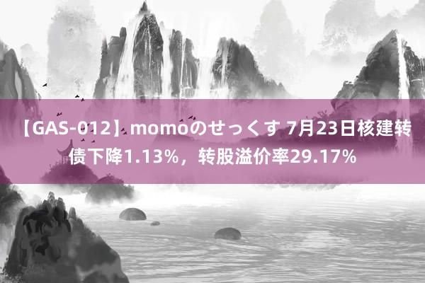 【GAS-012】momoのせっくす 7月23日核建转债下降1.13%，转股溢价率29.17%