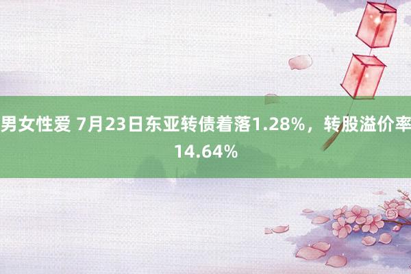 男女性爱 7月23日东亚转债着落1.28%，转股溢价率14.64%