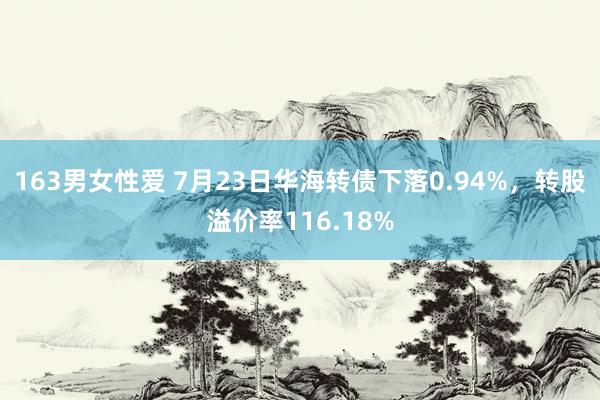 163男女性爱 7月23日华海转债下落0.94%，转股溢价率116.18%