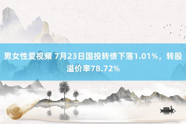 男女性爱视频 7月23日国投转债下落1.01%，转股溢价率78.72%