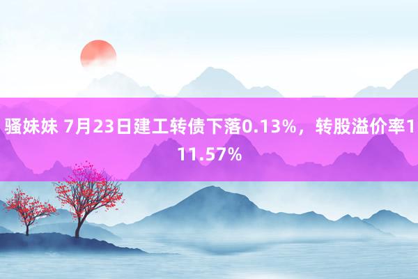 骚妹妹 7月23日建工转债下落0.13%，转股溢价率111.57%