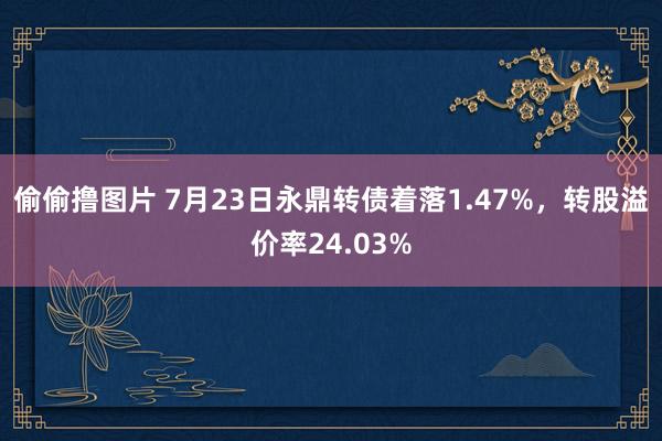 偷偷撸图片 7月23日永鼎转债着落1.47%，转股溢价率24.03%