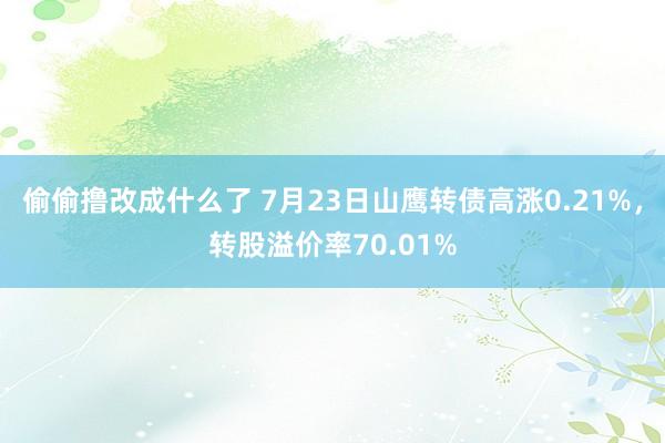 偷偷撸改成什么了 7月23日山鹰转债高涨0.21%，转股溢价率70.01%