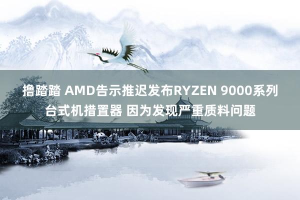 撸踏踏 AMD告示推迟发布RYZEN 9000系列台式机措置器 因为发现严重质料问题