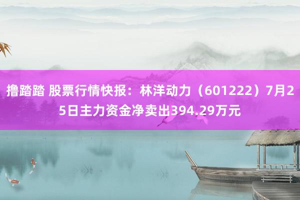 撸踏踏 股票行情快报：林洋动力（601222）7月25日主力资金净卖出394.29万元