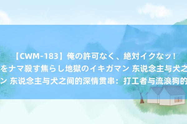 【CWM-183】俺の許可なく、絶対イクなッ！！！！！ 2 早漏オンナをナマ殺す焦らし地獄のイキガマン 东说念主与犬之间的深情贯串：打工者与流浪狗的温煦故事