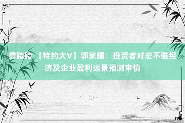 撸踏踏 【特约大V】郭家耀：投资者对宏不雅经济及企业盈利远景预测审慎