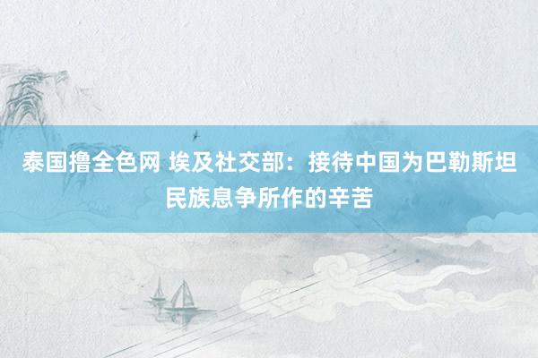 泰国撸全色网 埃及社交部：接待中国为巴勒斯坦民族息争所作的辛苦