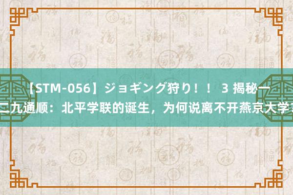 【STM-056】ジョギング狩り！！ 3 揭秘一二九通顺：北平学联的诞生，为何说离不开燕京大学？