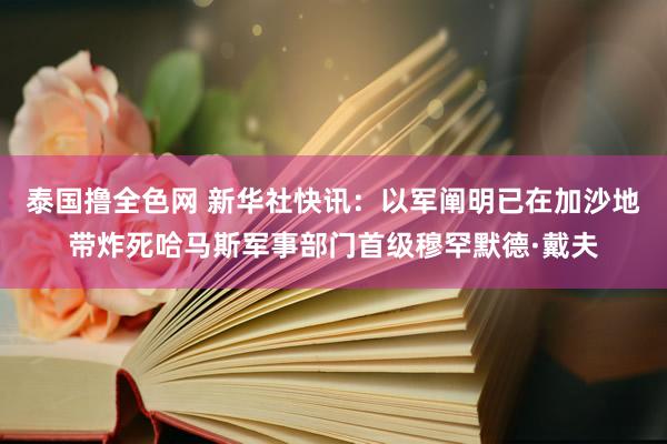 泰国撸全色网 新华社快讯：以军阐明已在加沙地带炸死哈马斯军事部门首级穆罕默德·戴夫