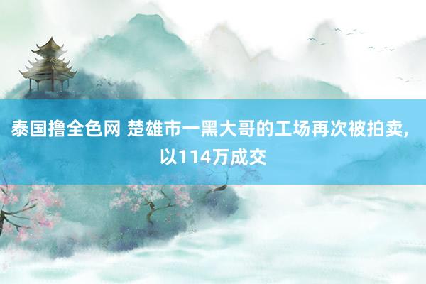 泰国撸全色网 楚雄市一黑大哥的工场再次被拍卖， 以114万成交