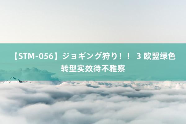 【STM-056】ジョギング狩り！！ 3 欧盟绿色转型实效待不雅察