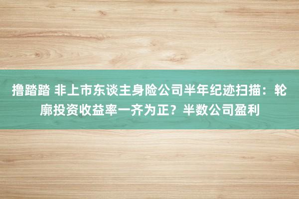 撸踏踏 非上市东谈主身险公司半年纪迹扫描：轮廓投资收益率一齐为正？半数公司盈利