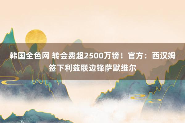 韩国全色网 转会费超2500万镑！官方：西汉姆签下利兹联边锋萨默维尔