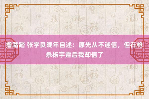 撸踏踏 张学良晚年自述：原先从不迷信，但在枪杀杨宇霆后我却信了