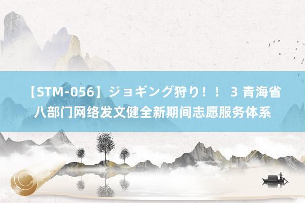 【STM-056】ジョギング狩り！！ 3 青海省八部门网络发文健全新期间志愿服务体系