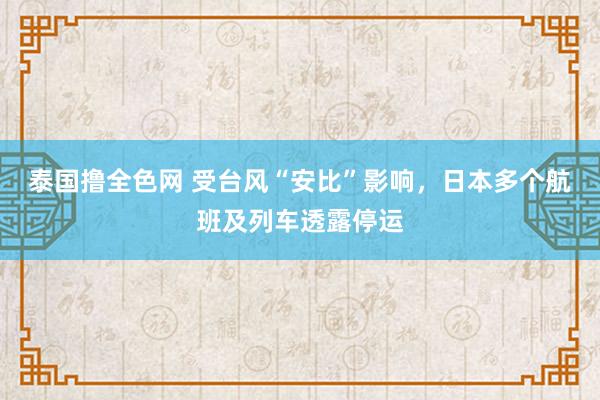 泰国撸全色网 受台风“安比”影响，日本多个航班及列车透露停运