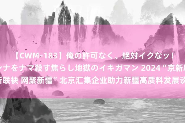 【CWM-183】俺の許可なく、絶対イクなッ！！！！！ 2 早漏オンナをナマ殺す焦らし地獄のイキガマン 2024“京新联袂 网聚新疆”北京汇集企业助力新疆高质料发展谈话会在乌鲁木王人召开