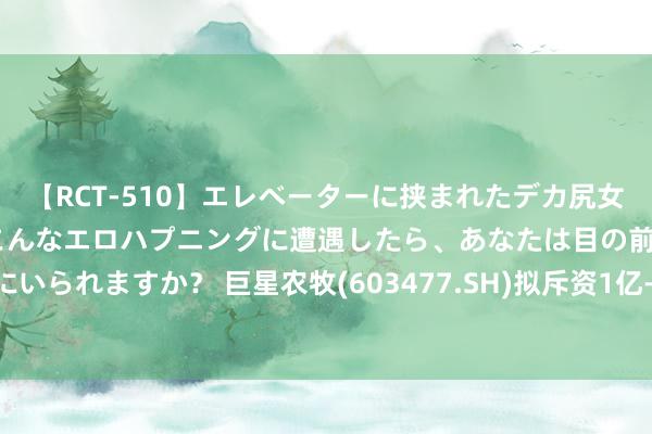 【RCT-510】エレベーターに挟まれたデカ尻女子校生をガン突き もしもこんなエロハプニングに遭遇したら、あなたは目の前の尻を犯さずにいられますか？ 巨星农牧(603477.SH)拟斥资1亿-2亿元回购股份 回购价钱不超25.21元/股