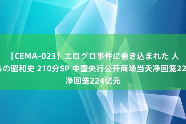 【CEMA-023】エログロ事件に巻き込まれた 人妻たちの昭和史 210分SP 中国央行公开商场当天净回笼224亿元