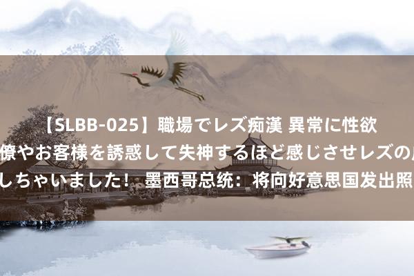 【SLBB-025】職場でレズ痴漢 異常に性欲の強い私（真性レズ）同僚やお客様を誘惑して失神するほど感じさせレズの虜にしちゃいました！ 墨西哥总统：将向好意思国发出照会 抗议好意思方侵犯主见策略