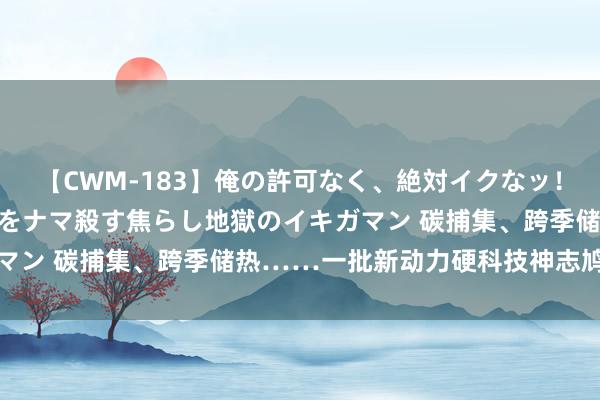 【CWM-183】俺の許可なく、絶対イクなッ！！！！！ 2 早漏オンナをナマ殺す焦らし地獄のイキガマン 碳捕集、跨季储热……一批新动力硬科技神志鸠集路演