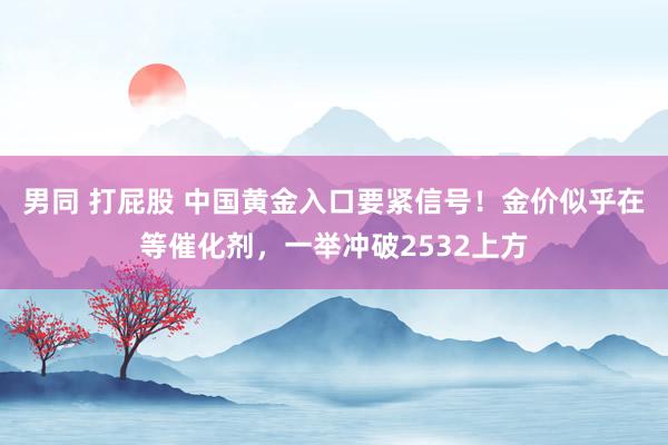 男同 打屁股 中国黄金入口要紧信号！金价似乎在等催化剂，一举冲破2532上方