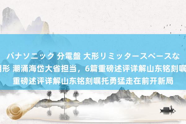 パナソニック 分電盤 大形リミッタースペースなし 露出・半埋込両用形 潮涌海岱大省担当，6篇重磅述评详解山东铭刻嘱托勇猛走在前开新局